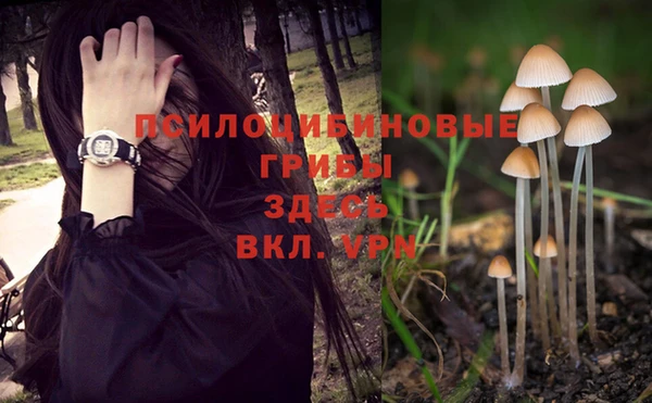 каннабис Беломорск