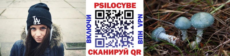 Псилоцибиновые грибы GOLDEN TEACHER  где купить наркоту  Пионерский 