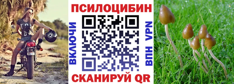 Галлюциногенные грибы Cubensis Пионерский